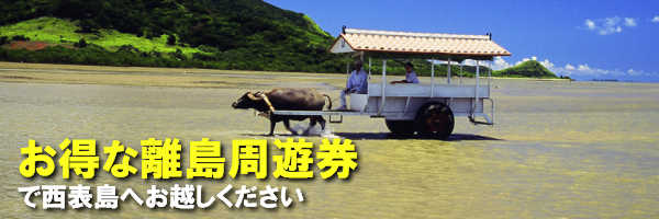 離島めぐりのお客様へお得な周遊券