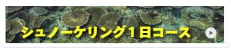 シュノーケリング1日コース