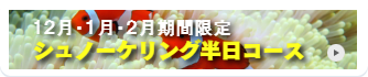 シュノーケリング半日コース